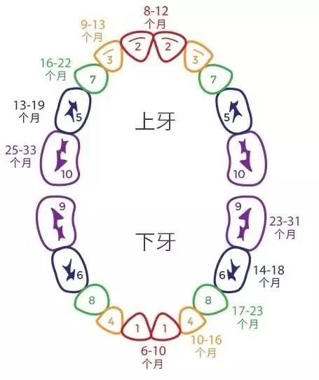 图片10.png